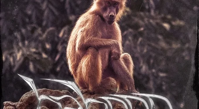 Lyrical Joe – Baboon (Amerado Diss)