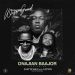 Wisa Greid – Onajian Baajor ft. Shatta Wale & Captan