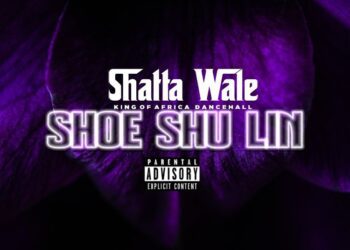 Shatta Wale – Shoe Shu Lin
