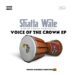 Shatta Wale – Voice of the Crown EP