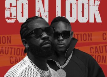 Bisa Kdei Ft Medikal – Go N Look