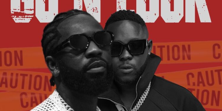 Bisa Kdei Ft Medikal – Go N Look