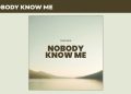 Cina Soul – Nobody Know Me cover art
