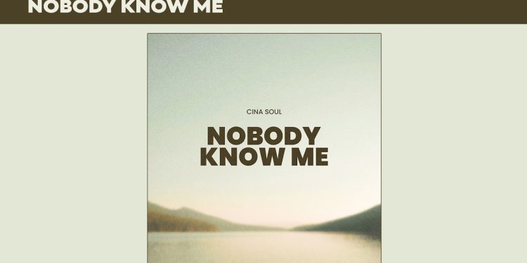 Cina Soul – Nobody Know Me cover art