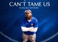 King Promise – Can't Tame Us (Chelsea Anthem) cover art