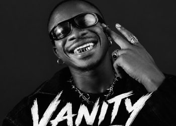 Mickey Lux – VANITY cover art